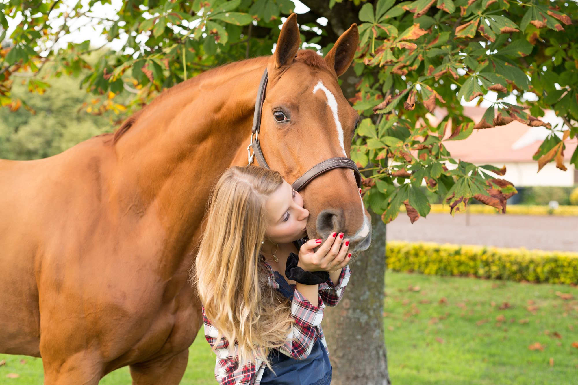 Equitation